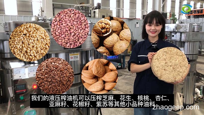 鑫兆豐全自動液壓榨油機(jī)有什么特點優(yōu)勢