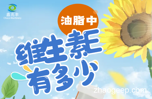 兆格分享：全自動液壓榨油機 維生素E是什么？什么食用油含維生素E高？